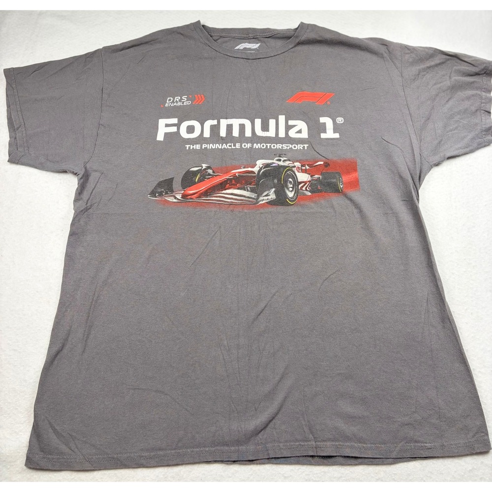 Formula 1 The Pinnacle of Motorsport F1 Racing Graphic T-Shirt Gray Mens Large